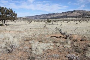 2 acres for sale in Seligman Arizona – Bridge Canyon Country Estates