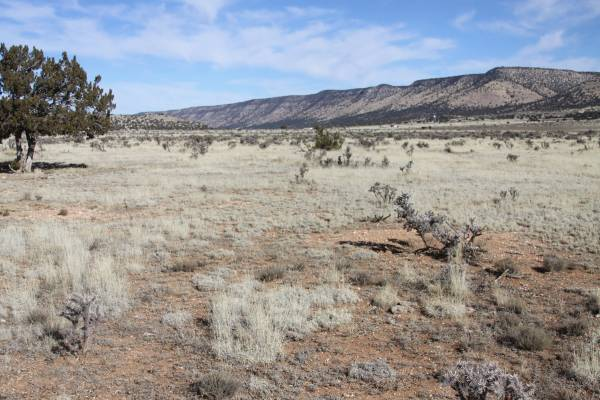 2 acres for sale in Seligman Arizona – Bridge Canyon Country Estates